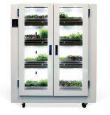 Indoor Gardening